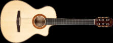 Taylor NS63 Nylon string guitar